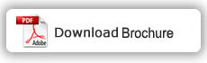 Download AgilePlus ERP brochure